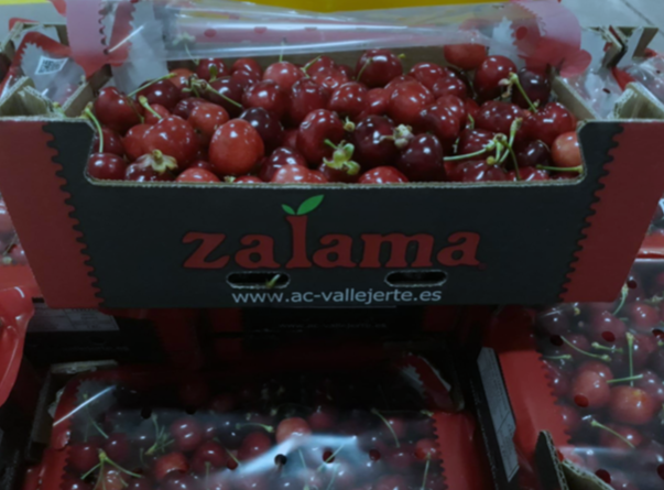 Campaña de la cereza